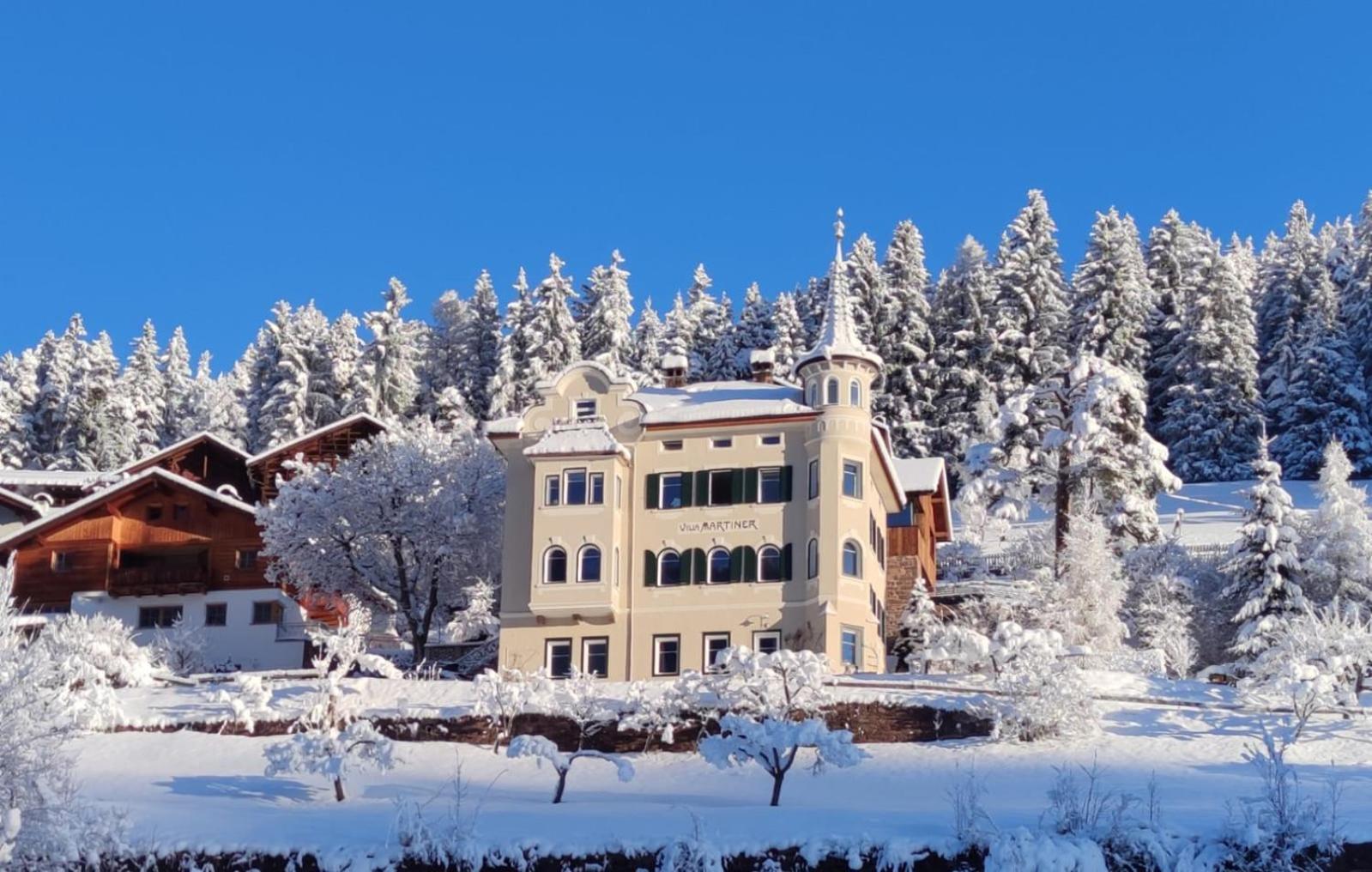 אורטיסיי Villa Martiner Apartments Francesco מראה חיצוני תמונה